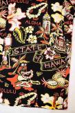 SUN SURF (サンサーフ)　長袖ハワイアンシャツ　SS28782　"STATE OF HAWAII"　ブラック